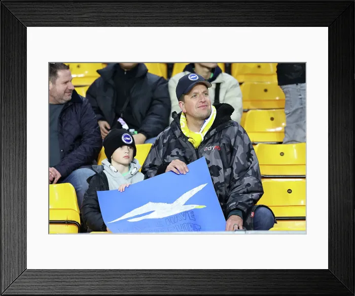 Framed Print : Wolverhampton Wanderers v Brighton and Hove Albion FA Cup 28FEB24 Framed Print : Wolverhampton Wanderers v Brighton and Hove Albion FA Cup 28FEB24