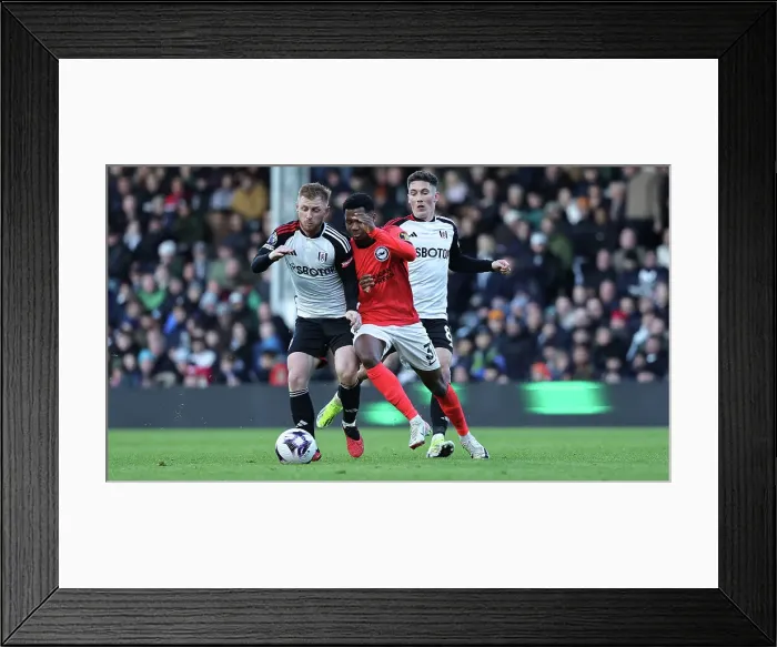 Framed Print : Fulham v Brighton and Hove Albion Premier League 02MAR24 Framed Print : Fulham v Brighton and Hove Albion Premier League 02MAR24