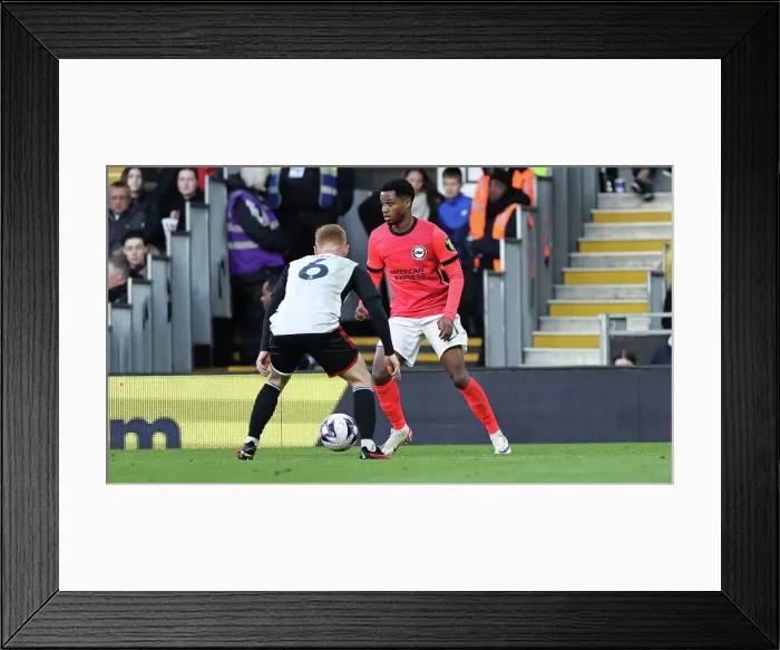 Framed Print : Fulham v Brighton and Hove Albion Premier League 02MAR24 Framed Print : Fulham v Brighton and Hove Albion Premier League 02MAR24