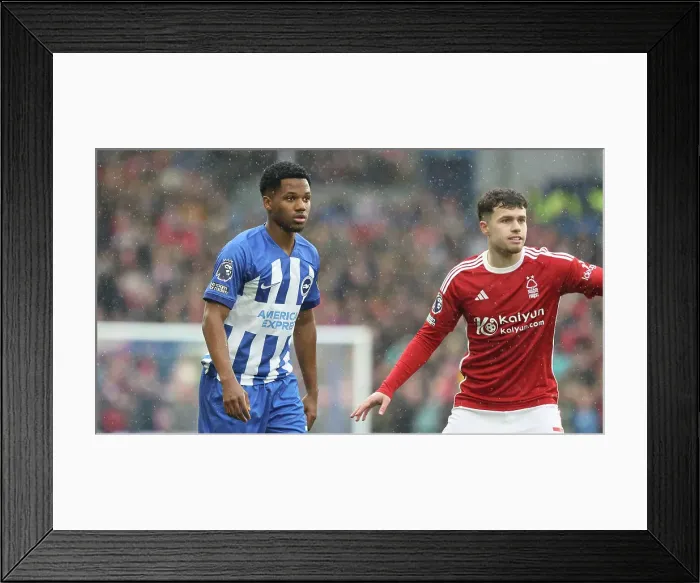 Framed Print : Brighton and Hove Albion v Nottingham Forest Premier League 10MAR24 Framed Print : Brighton and Hove Albion v Nottingham Forest Premier League 10MAR24