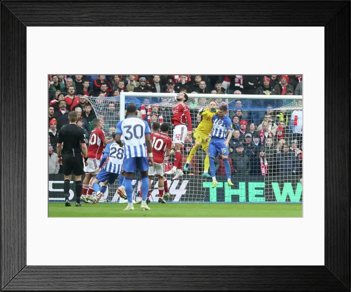 Framed Print : Brighton and Hove Albion v Nottingham Forest Premier League 10MAR24