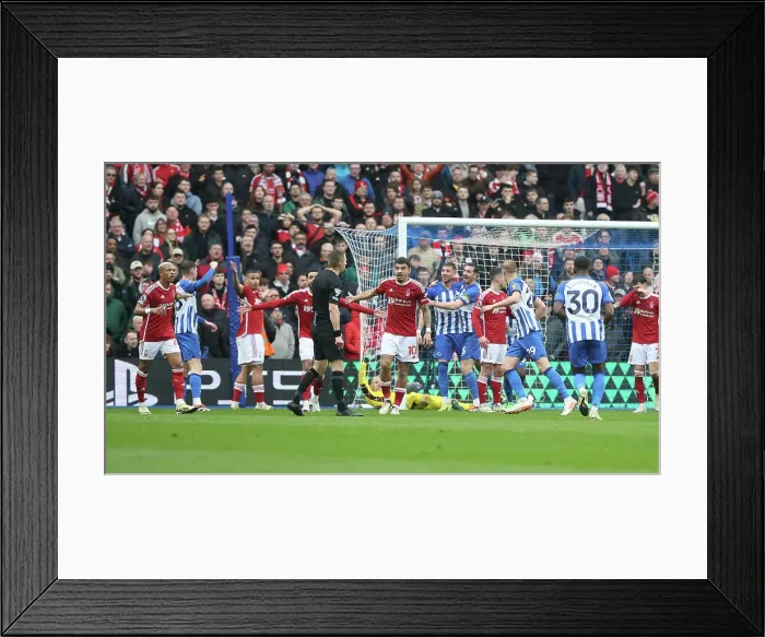 Framed Print : Brighton and Hove Albion v Nottingham Forest Premier League 10MAR24 Framed Print : Brighton and Hove Albion v Nottingham Forest Premier League 10MAR24