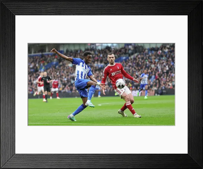 Framed Print : Brighton and Hove Albion v Nottingham Forest Premier League 10MAR24 Framed Print : Brighton and Hove Albion v Nottingham Forest Premier League 10MAR24