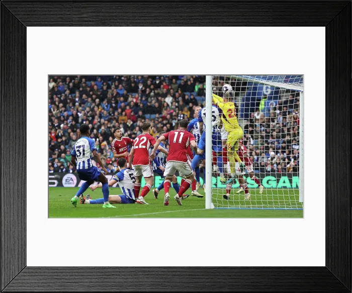 Framed Print : Brighton and Hove Albion v Nottingham Forest Premier League 10MAR24