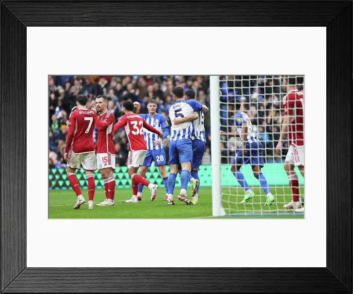 Framed Print : Brighton and Hove Albion v Nottingham Forest Premier League 10MAR24