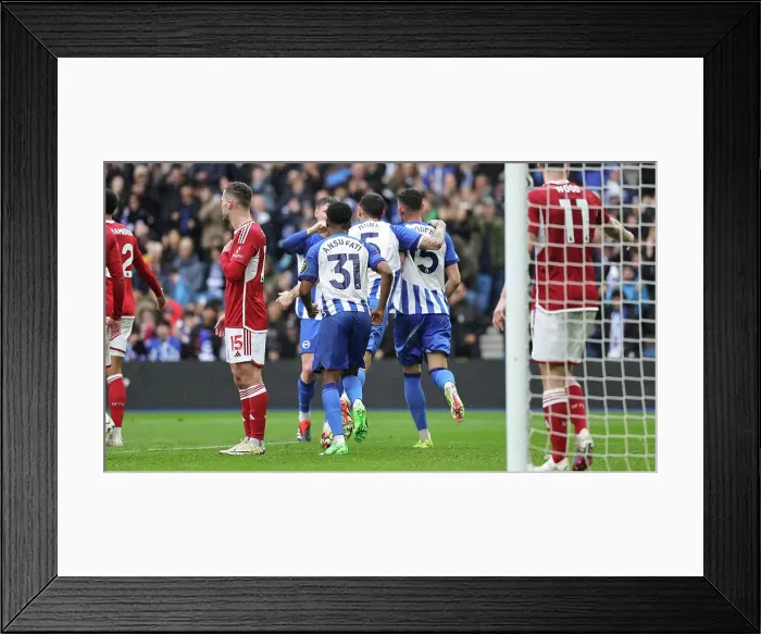 Framed Print : Brighton and Hove Albion v Nottingham Forest Premier League 10MAR24