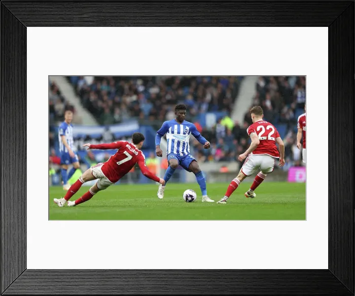 Framed Print : Brighton and Hove Albion v Nottingham Forest Premier League 10MAR24 Framed Print : Brighton and Hove Albion v Nottingham Forest Premier League 10MAR24