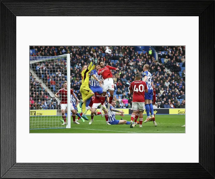 Framed Print : Brighton and Hove Albion v Nottingham Forest Premier League 10MAR24 Framed Print : Brighton and Hove Albion v Nottingham Forest Premier League 10MAR24
