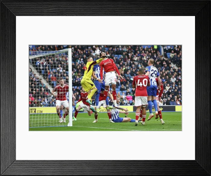 Framed Print : Brighton and Hove Albion v Nottingham Forest Premier League 10MAR24