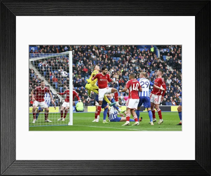 Framed Print : Brighton and Hove Albion v Nottingham Forest Premier League 10MAR24