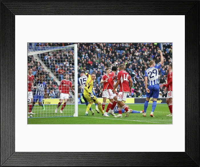 Framed Print : Brighton and Hove Albion v Nottingham Forest Premier League 10MAR24