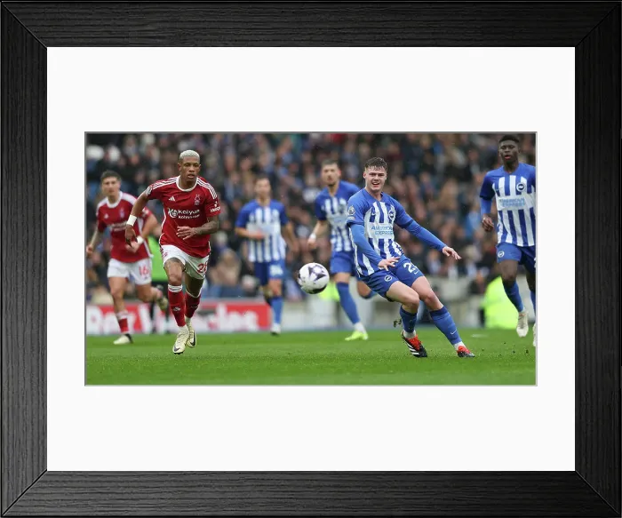 Framed Print : Brighton and Hove Albion v Nottingham Forest Premier League 10MAR24
