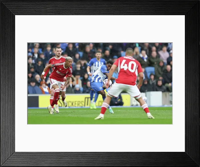 Framed Print : Brighton and Hove Albion v Nottingham Forest Premier League 10MAR24 Framed Print : Brighton and Hove Albion v Nottingham Forest Premier League 10MAR24