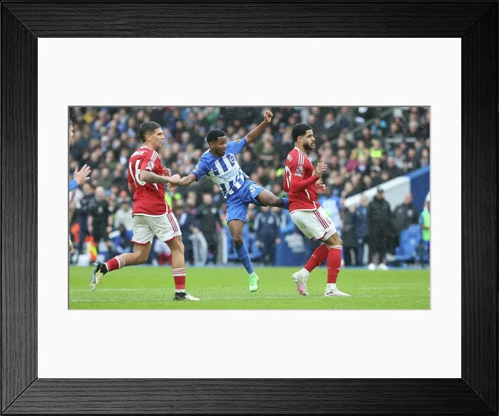 Framed Print : Brighton and Hove Albion v Nottingham Forest Premier League 10MAR24 Framed Print : Brighton and Hove Albion v Nottingham Forest Premier League 10MAR24