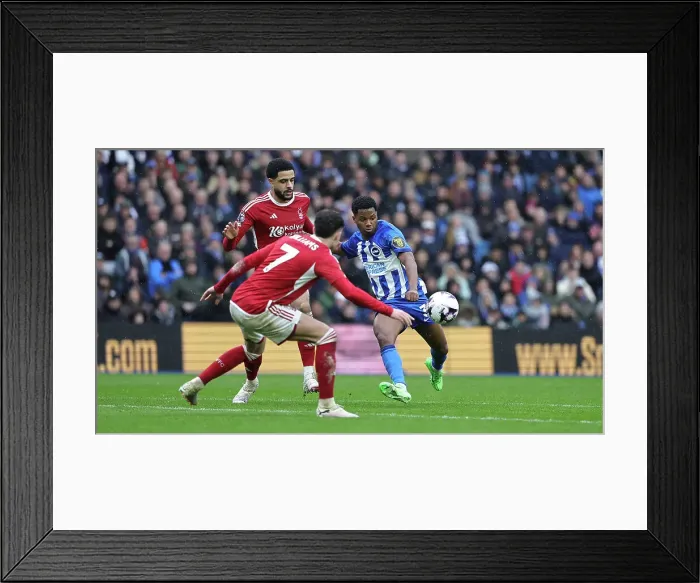 Framed Print : Brighton and Hove Albion v Nottingham Forest Premier League 10MAR24 Framed Print : Brighton and Hove Albion v Nottingham Forest Premier League 10MAR24