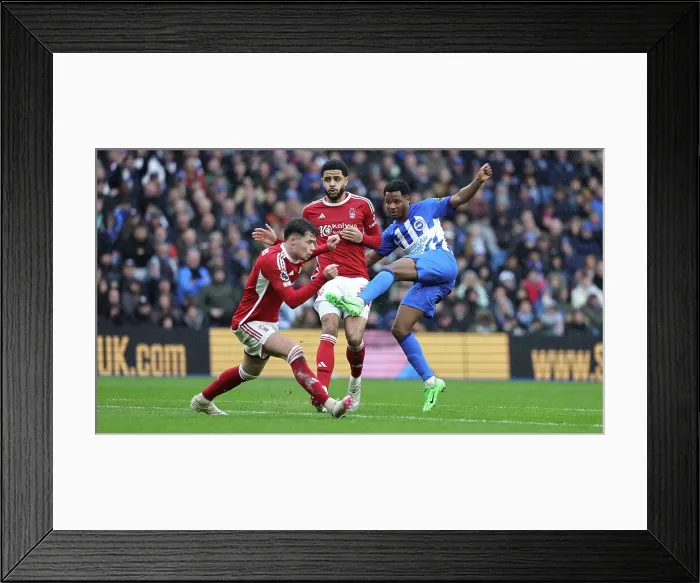 Framed Print : Brighton and Hove Albion v Nottingham Forest Premier League 10MAR24 Framed Print : Brighton and Hove Albion v Nottingham Forest Premier League 10MAR24