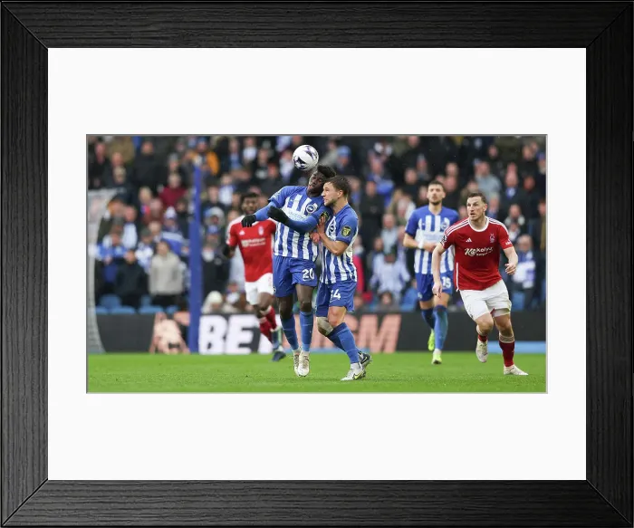 Framed Print : Brighton and Hove Albion v Nottingham Forest Premier League 10MAR24