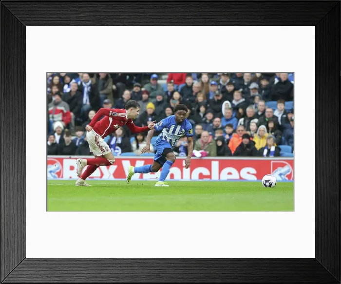 Framed Print : Brighton and Hove Albion v Nottingham Forest Premier League 10MAR24 Framed Print : Brighton and Hove Albion v Nottingham Forest Premier League 10MAR24