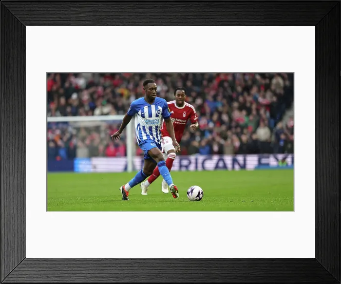 Framed Print : Brighton and Hove Albion v Nottingham Forest Premier League 10MAR24 Framed Print : Brighton and Hove Albion v Nottingham Forest Premier League 10MAR24