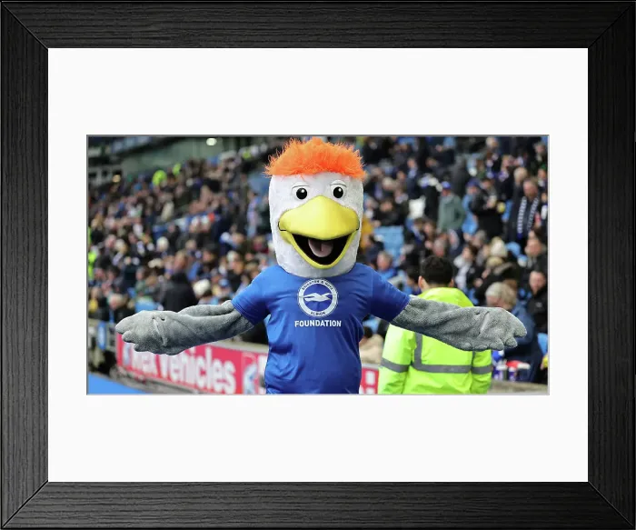 Framed Print : Brighton and Hove Albion v Nottingham Forest Premier League 10MAR24 Framed Print : Brighton and Hove Albion v Nottingham Forest Premier League 10MAR24