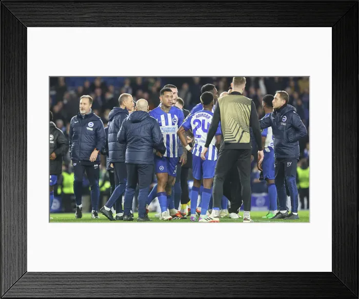 Framed Print : Brighton and Hove Albion v AS Roma Europa League - Round of 16, leg 2 of 2 14MAR24 Framed Print : Brighton and Hove Albion v AS Roma Europa League - Round of 16, leg 2 of 2 14MAR24