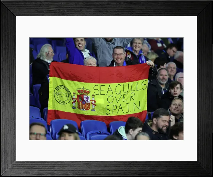 Framed Print : Brighton and Hove Albion v AS Roma Europa League - Round of 16, leg 2 of 2 14MAR24 Framed Print : Brighton and Hove Albion v AS Roma Europa League - Round of 16, leg 2 of 2 14MAR24