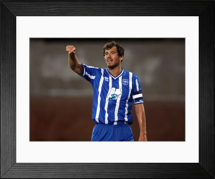 Framed Print : Brighton & Hove Albion vs Sunderland: 2010-11 Pre-Season Friendly Framed Print : Brighton & Hove Albion vs Sunderland: 2010-11 Pre-Season Friendly