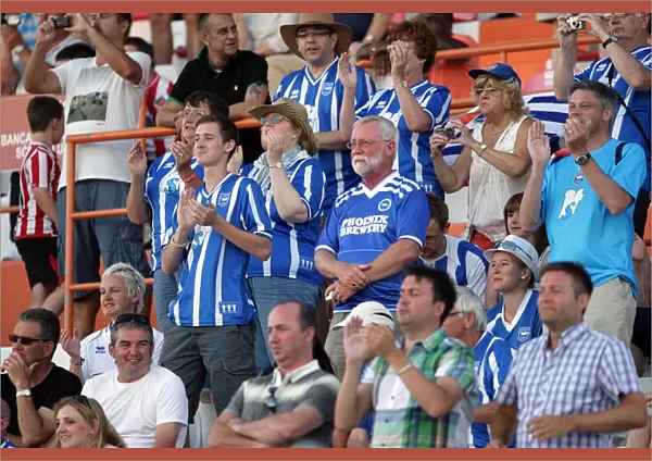 The Electric Atmosphere: Brighton & Hove Albion vs. Sunderland (2010) - Withdean Era Crowd Shots