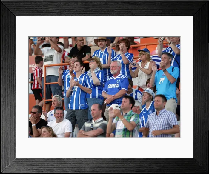 Framed Print : The Electric Atmosphere: Brighton & Hove Albion vs. Sunderland (2010) - Withdean Era Crowd Shots Framed Print : The Electric Atmosphere: Brighton & Hove Albion vs. Sunderland (2010) - Withdean Era Crowd Shots