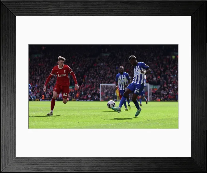 Framed Print : Liverpool v Brighton and Hove Albion Premier League 31MAR24