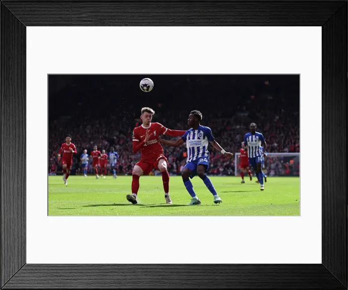 Framed Print : Liverpool v Brighton and Hove Albion Premier League 31MAR24