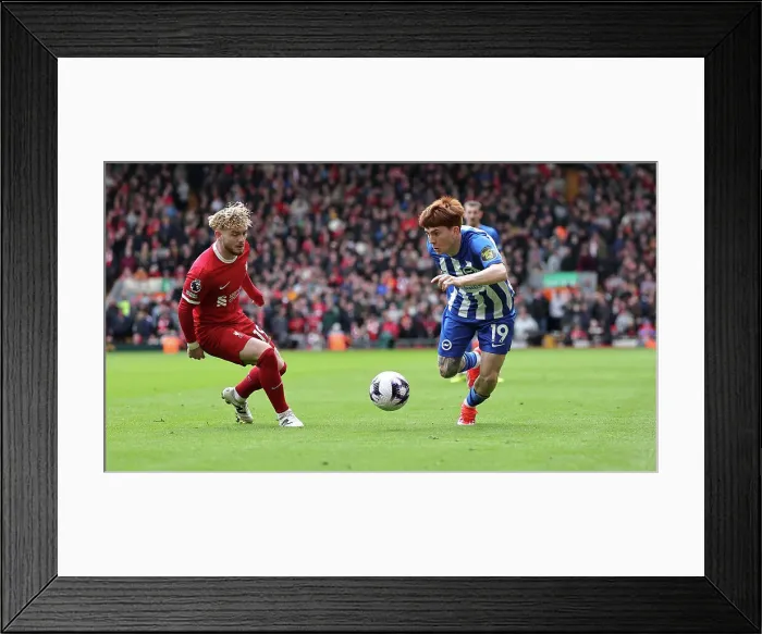 Framed Print : Liverpool v Brighton and Hove Albion Premier League 31MAR24 Framed Print : Liverpool v Brighton and Hove Albion Premier League 31MAR24