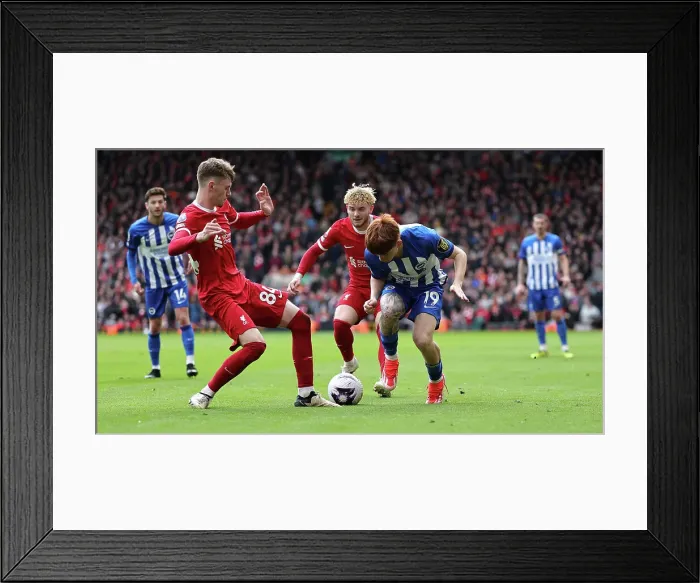 Framed Print : Liverpool v Brighton and Hove Albion Premier League 31MAR24 Framed Print : Liverpool v Brighton and Hove Albion Premier League 31MAR24