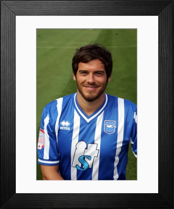 Framed Print : Gordon Greer: A Seagull Amidst the Brighton and Hove Albion Squad