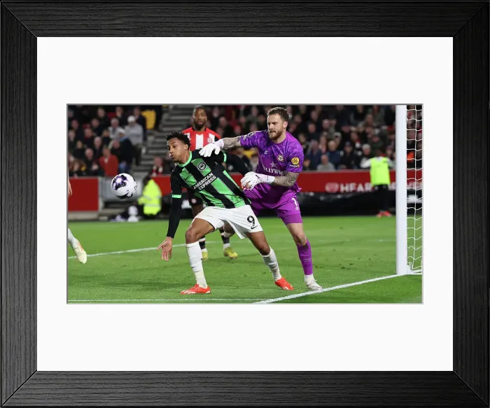 Framed Print : Brentford v Brighton and Hove Albion Premier League 03APR24