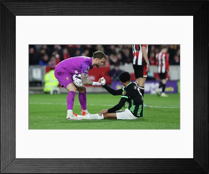 Framed Print : Brentford v Brighton and Hove Albion Premier League 03APR24