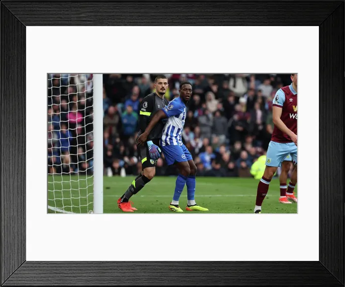 Framed Print : Burnley v Brighton and Hove Albion Premier League 13APR24