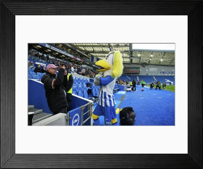 Framed Print : Brighton and Hove Albion Women v Everton Women Women's Super League 19APR24 Framed Print : Brighton and Hove Albion Women v Everton Women Women's Super League 19APR24