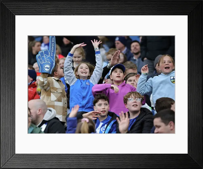 Framed Print : Brighton and Hove Albion Women v Everton Women Women's Super League 19APR24