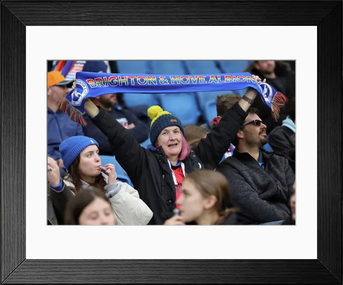 Framed Print : Brighton and Hove Albion Women v Everton Women Women's Super League 19APR24