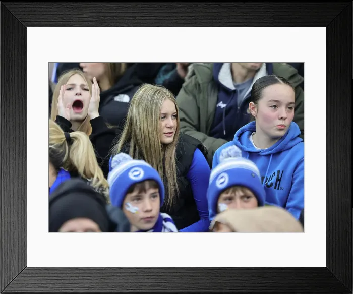 Framed Print : Brighton and Hove Albion Women v Everton Women Women's Super League 19APR24