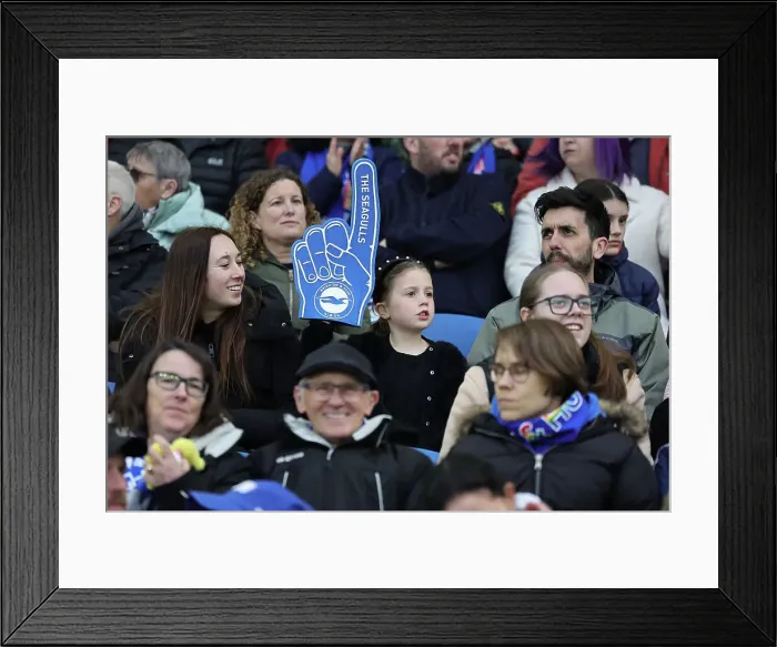 Framed Print : Brighton and Hove Albion Women v Everton Women Women's Super League 19APR24