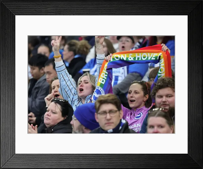 Framed Print : Brighton and Hove Albion Women v Everton Women Women's Super League 19APR24