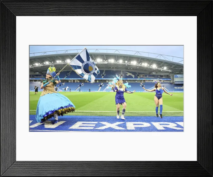 Framed Print : Brighton and Hove Albion Women v Everton Women Women's Super League 19APR24