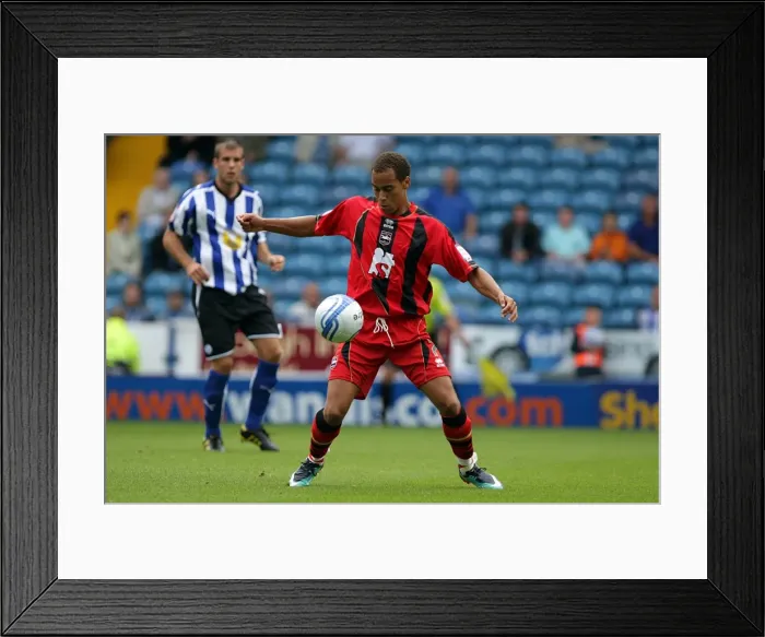 Framed Print : Brighton & Hove Albion Away at Sheffield Wednesday: 2010-11 Season
