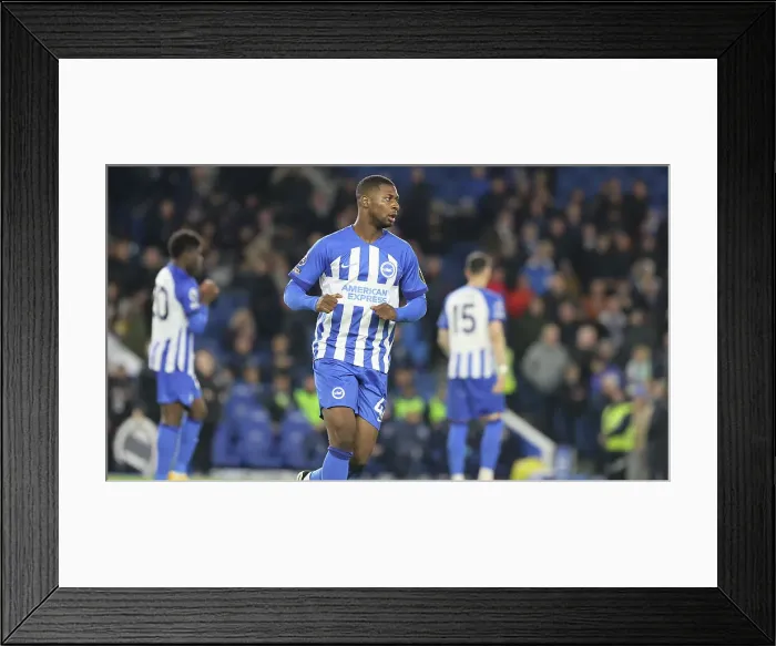 Framed Print : Brighton and Hove Albion v Manchester City Premier League 25APR24