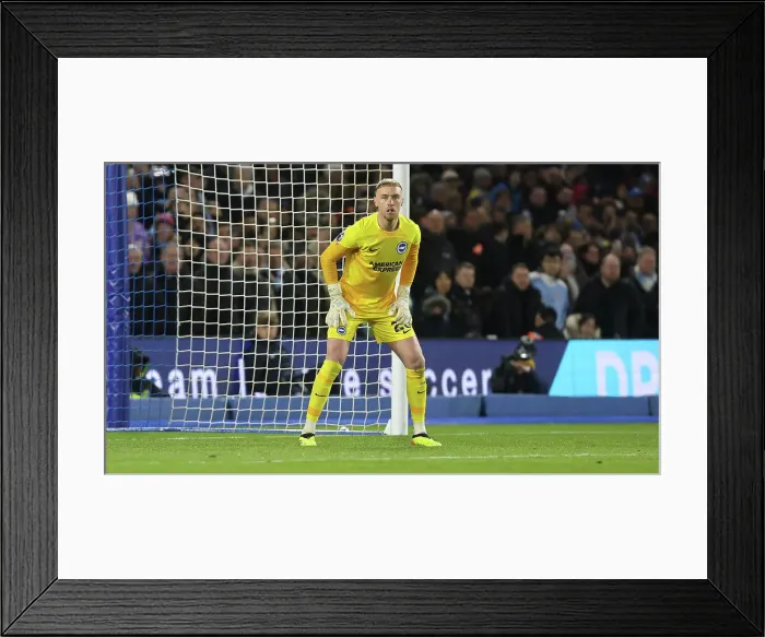 Framed Print : Brighton and Hove Albion v Manchester City Premier League 25APR24