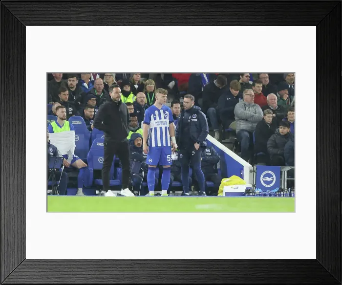 Framed Print : Brighton and Hove Albion v Manchester City Premier League 25APR24