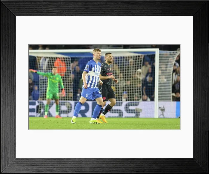 Framed Print : Brighton and Hove Albion v Manchester City Premier League 25APR24