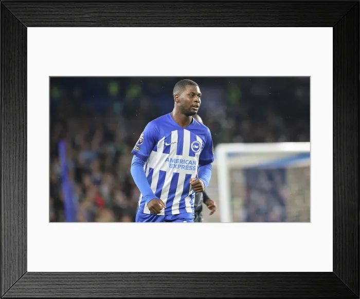 Framed Print : Brighton and Hove Albion v Manchester City Premier League 25APR24